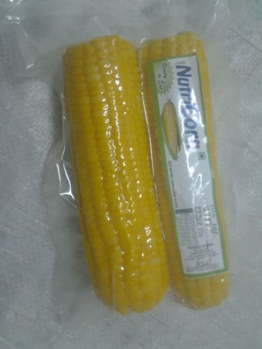 Corn Cob