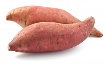 Fresh Sweet Potato