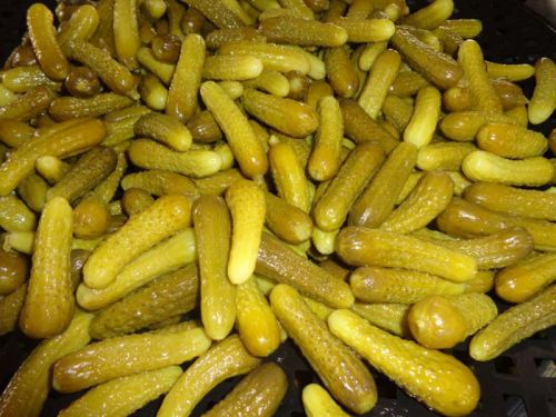 Gherkins In Vinegar