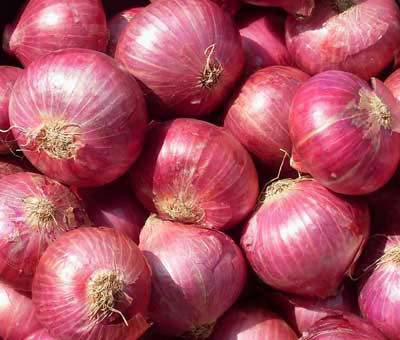 Organic Red Onion, For Cooking, Packaging Type : Plastic Packet