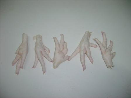 Frozen Chicken Feet, Feature : Gluten Free, Low Fat, Nutritious