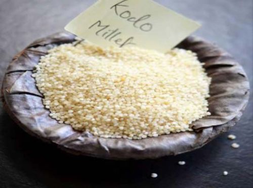 Parboiled Kodo Millet Rice, For Food