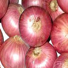 Onion