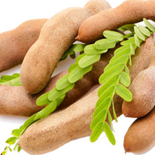 Tamarind