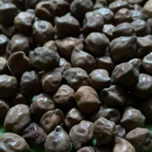 Black Chickpeas