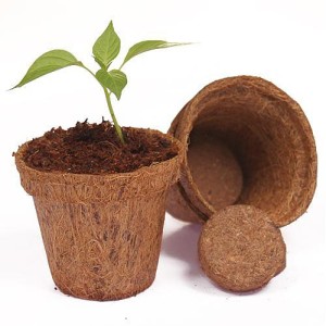 Coconut Coir