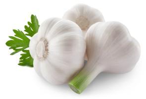 Garlic