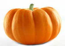 Fresh pumpkin, Quality Available : A Grade