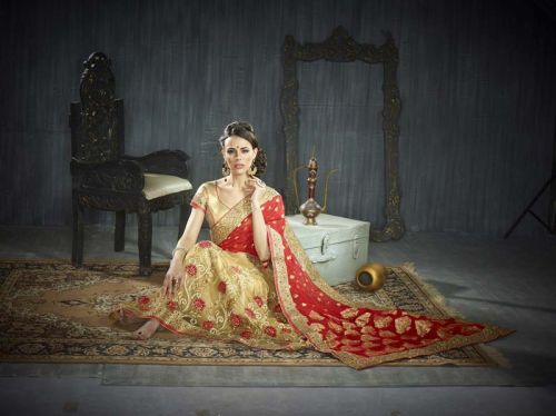 Manasi Faux Feorgeet Wedding Sarees