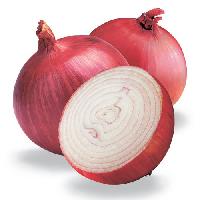Red onion, Style : Natural