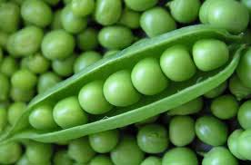 Fresh Green Peas, Country of Origin : India