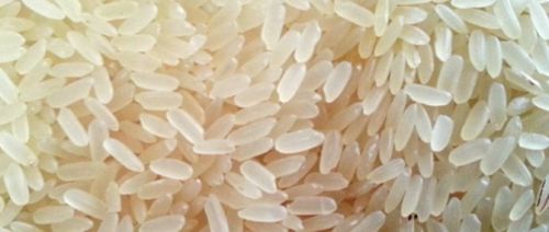 IR 8 Parboiled Non Basmati Rice