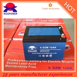 Electric Battery 152*99*98mm, Brand Name : NICE PEOPLE POWER