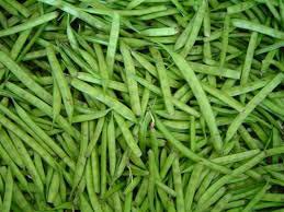 Fresh Guar Gum Beans