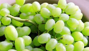 Fresh Grapes