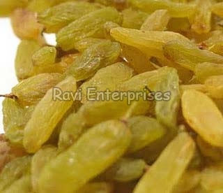 Green Raisins, Packaging Type : Jute Bag, PP Bag