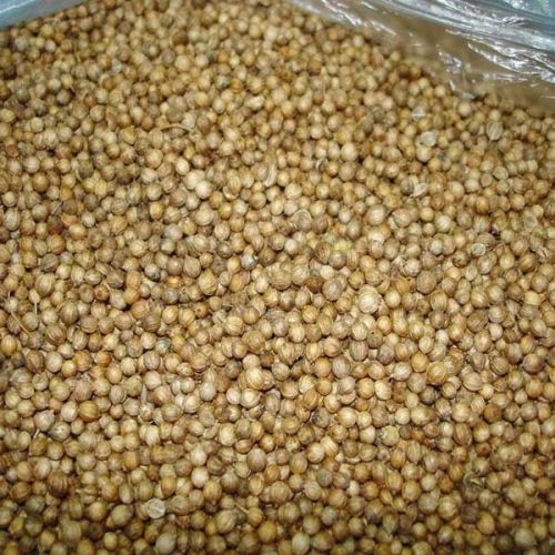 Flax Seeds, Shelf Life : 1 Year