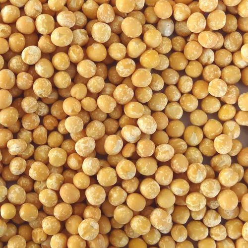 Yellow Peas