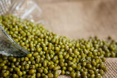 Green mung beans, Packaging Type : 25kg / 50kg PP bag.
