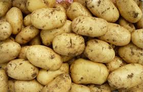 Potato, Usage/Application : Cooking, Baking, Frying, Boiling
