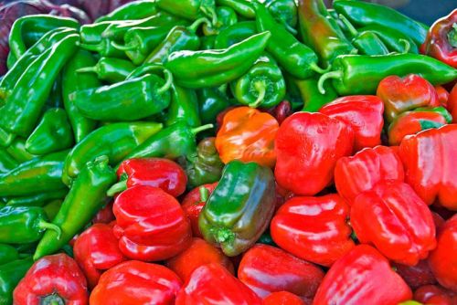 Sweet Peppers, Shape : all, Packaging Type : Green, Red, Yellow