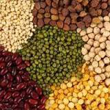 Indian pulses, Shelf Life : 12 Months