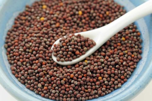 Mustard seeds, Shelf Life : Up To 2 Years When Stored Properly.