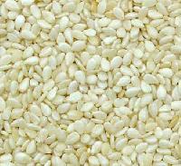 Sesame Seeds