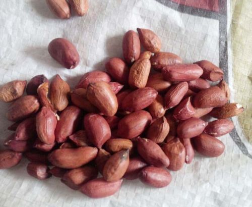 Groundnut kernels