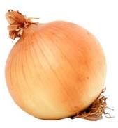 Fresh Onion