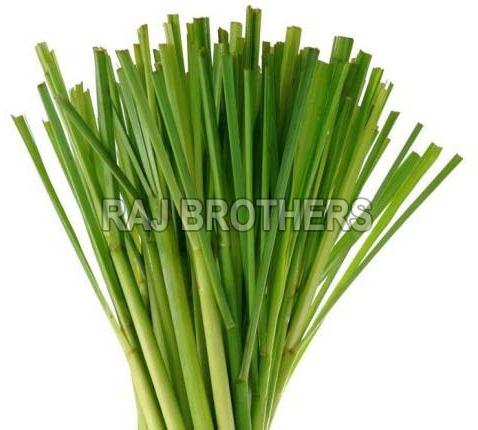 Lemon grass