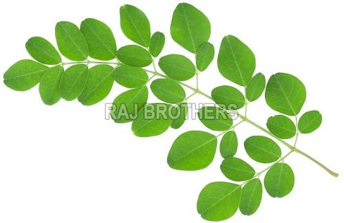 Moringa Leaves