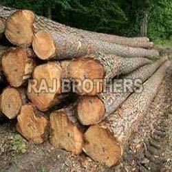 Timber Wood Logs