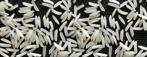 Seven Star PR 11 Steam Rice