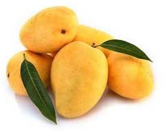 Fresh Mango,fresh Mango