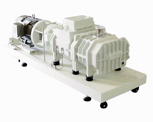 Dry Screw Vacuum Pumps