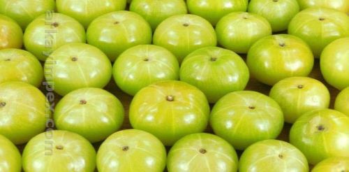 Fresh Amla, Feature : Rich In Vitamin C, Antioxidants