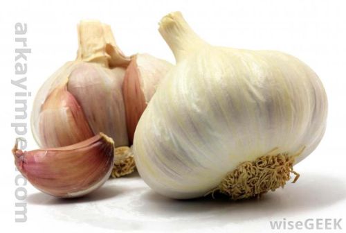 Fresh garlic, Country of Origin : India