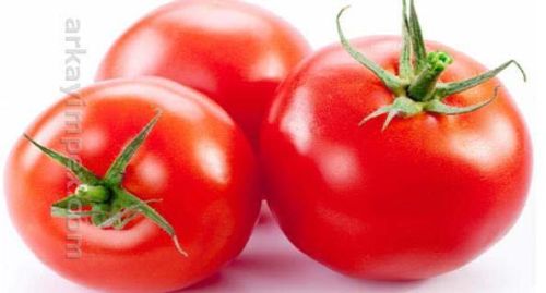 Fresh Red Tomato