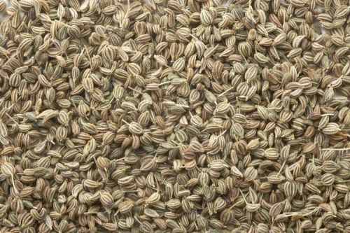 Carom Seeds, For Agriculture, Cooking, Style : Dried