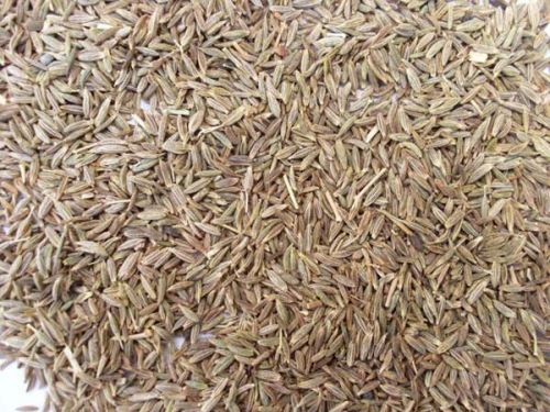 Cumin Seeds, For Cooking, Style : Dried