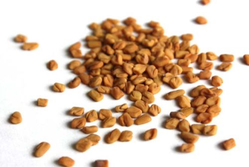 Organic Fenugreek Seeds