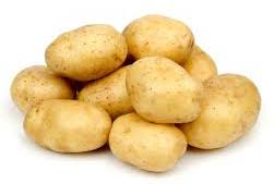 Fresh potato, Usage/Application : Cooking, Baking, Frying, Boiling