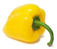 Fresh Yellow Capsicum