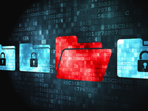 Electronic Data Management Services