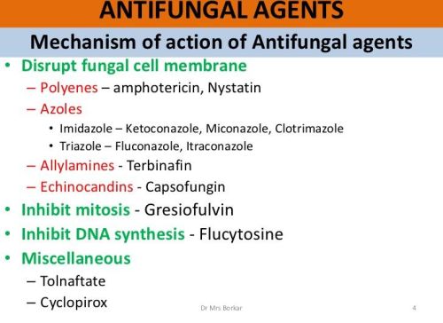 Anti Fungal Drugs