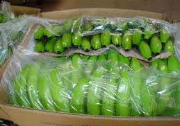 Fresh Cananish Banana