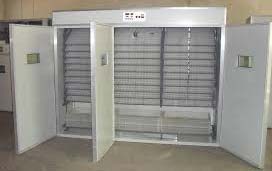 Parot Egg and Chicken Egg Incubator