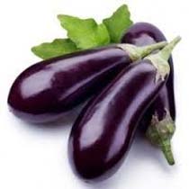 Organic Fresh Brinjal