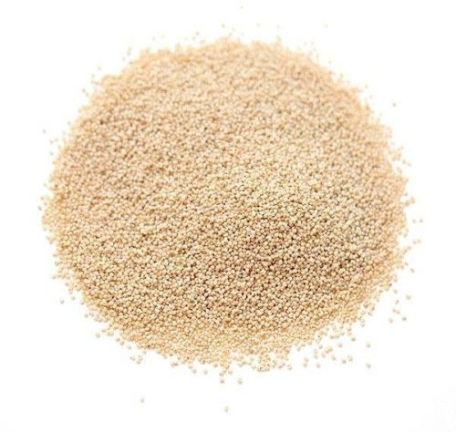 Organic Poppy Seeds, Shelf Life : 0-2yrs